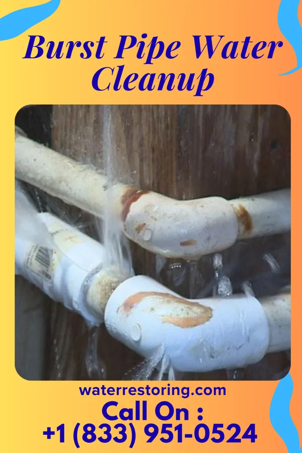 Burst Pipe Water Cleanup in Parma, OH