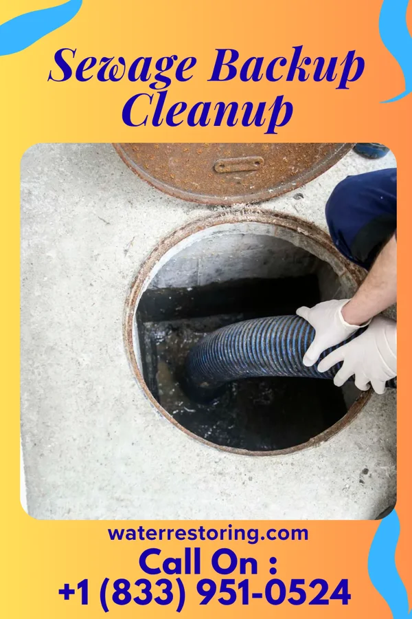Sewage Backup Cleanup in Parma, OH