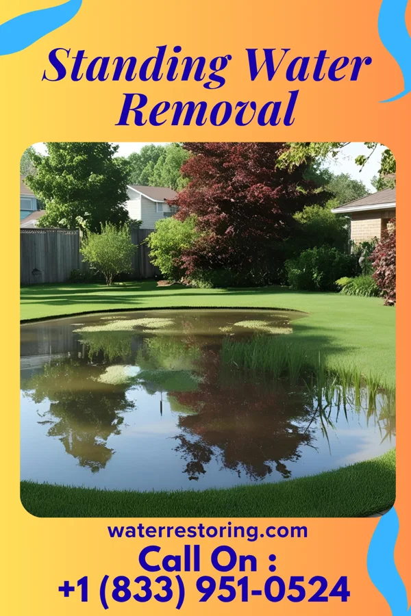 Standing Water Removal in Parma, OH